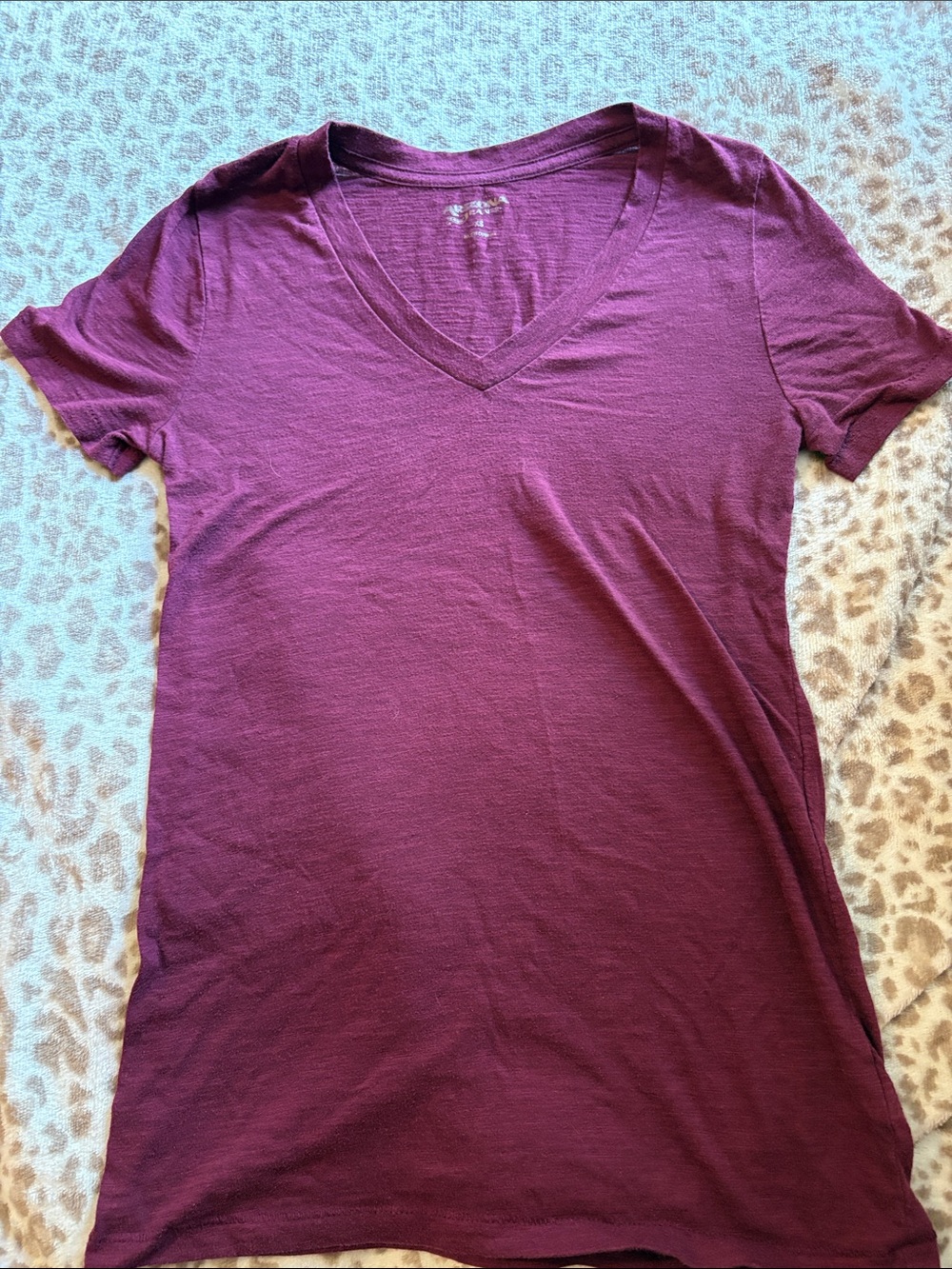 Arizona Jean Company Women's V-Neck Tee - Plum